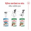 Royal Canin SHN MINI AGEING GRAVY kapsičky 12 x 85 g