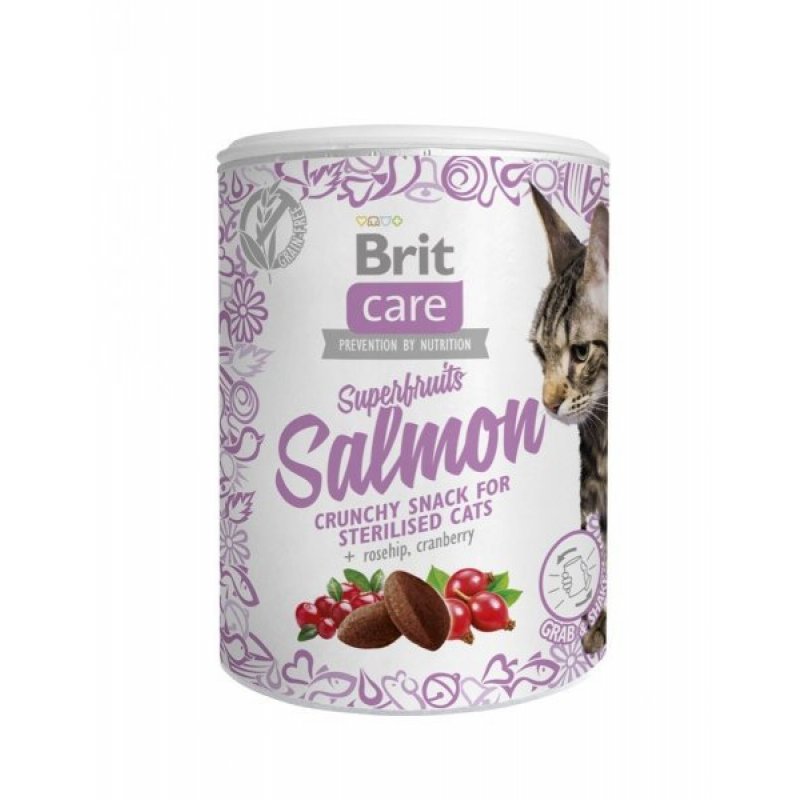 Brit Care Cat Snack Superfruits Salmon 100g