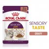 Royal Canin FHN Sensory Taste GRAVY kapsičky 12 x 85 g