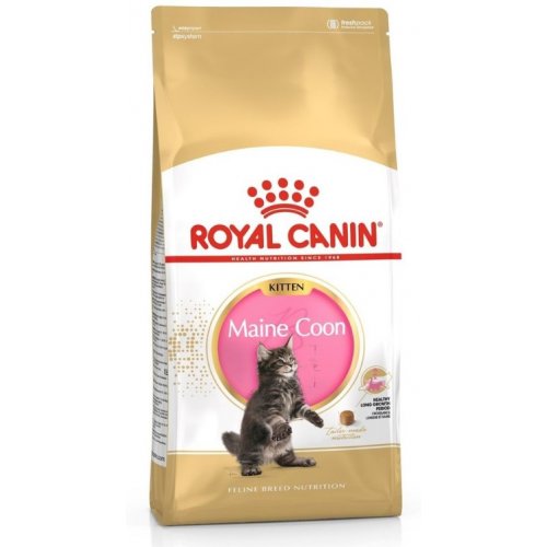 Royal Canin Maine Coon Kitten 10kg