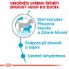 Royal Canin SHN MINI STARTER MOTHER & BABYDOG 4 kg