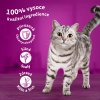 Whiskas kaps. Core klas.výběr š. 40x85g