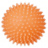 Ježek míč fosforeskující, se zvukem 10 cm TRIXIE