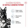 Royal Canin SHN MAXI STARTER MOTHER & BABYDOG 4 kg