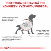 Royal Canin VHN DOG GASTROINTESTINAL HIGH FIBRE LOAF konzerva 410 g