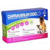 CAPRAVERUM DOG probioticum-prebioticum 30tbl