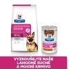 Hill's Canine PD GI Biome Dry 4kg