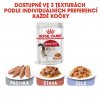 Royal Canin FHN INSTINCTIVE GRAVY kapsičky 12 x 85 g