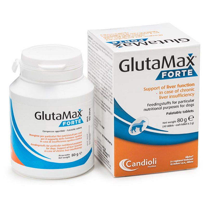 Glutamax forte 40tbl