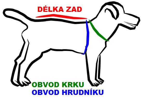 Změřit obvod hrudníku a krku.