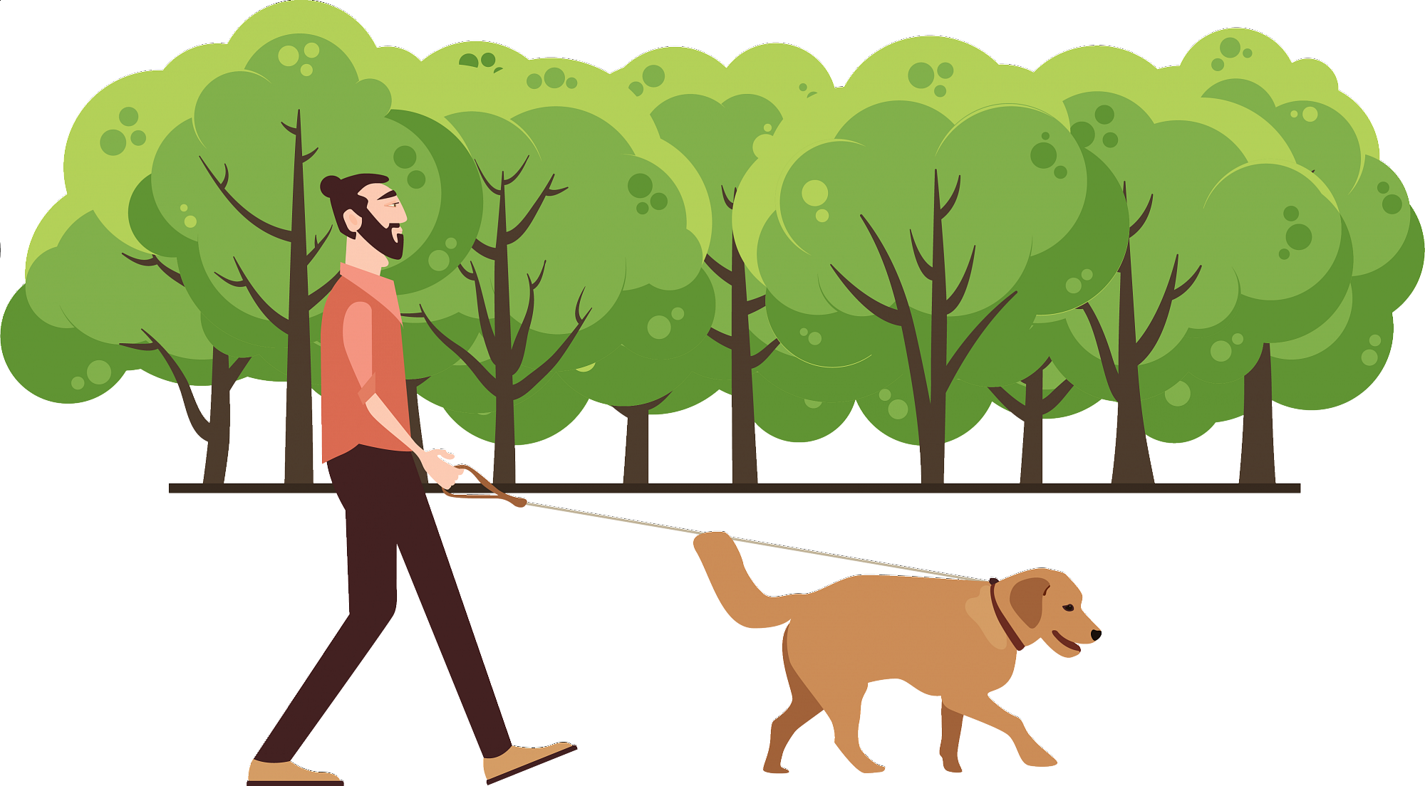 Jak často na procházky se psem?