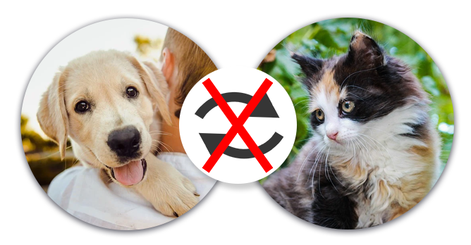 Antiparazitika pro psy a kočky nezaměňovat