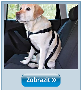 Bezpečností postroj do auta pro psa Trixie Safety