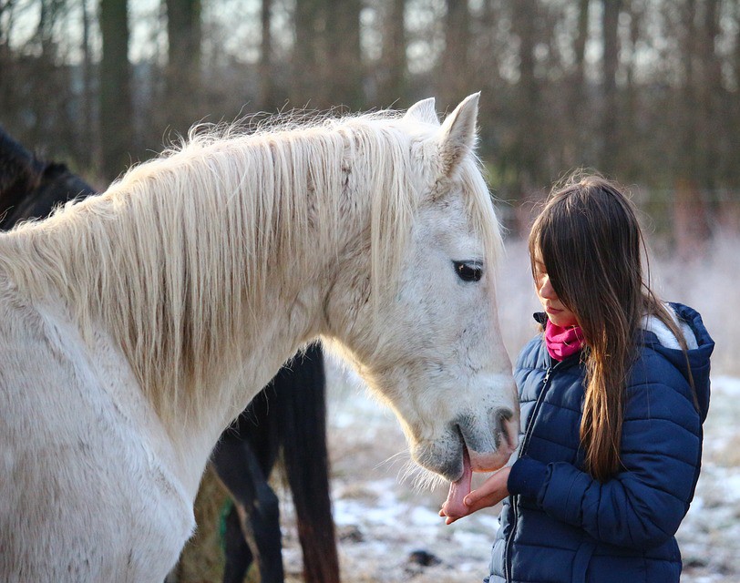 Kůň s majitelkou v zimě