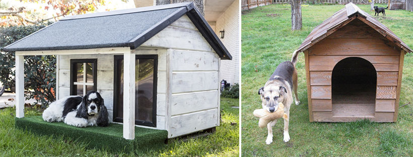 Jak postavit boudu pro psa