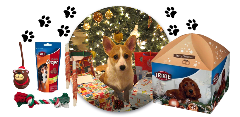 Dárky pro psy na Vánoce box krabice
