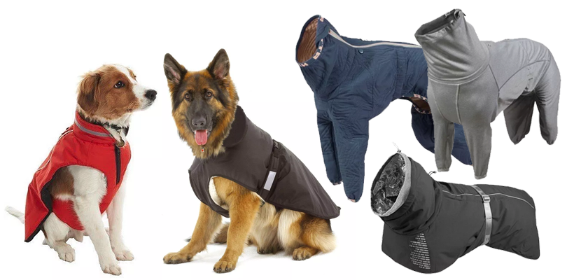 Funkční oblečky pro psy