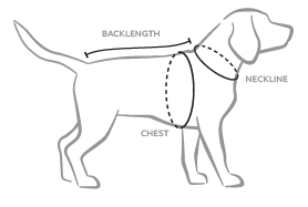 Jak změřit míry psa pro výběr oblečku?