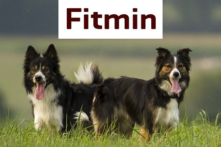 Fitmin české granule pro psy a kočky Fitmin české granule pro psy a kočky